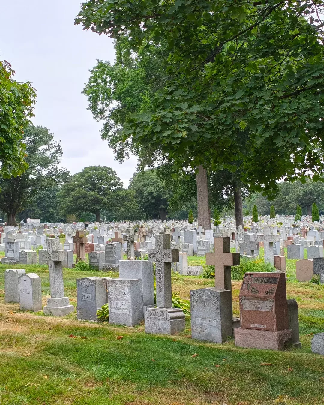 How to Clean a Granite Headstone: A Simple Guide for Families